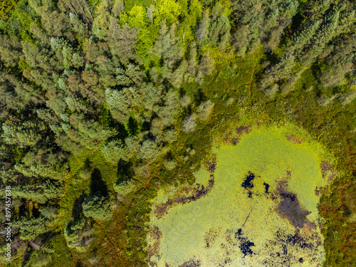 Photography aerial image of the sifton bog in london ontario canada during the summer