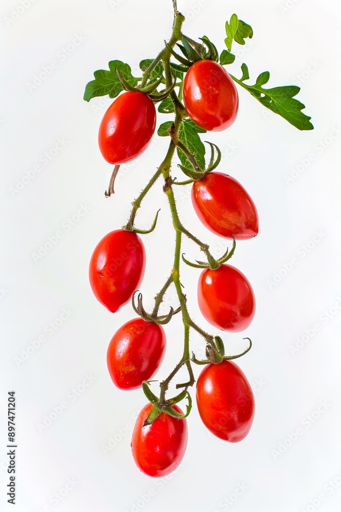 A bunch of tomatoes hanging from a branch. A bunch of tomatoes hanging from a branch.