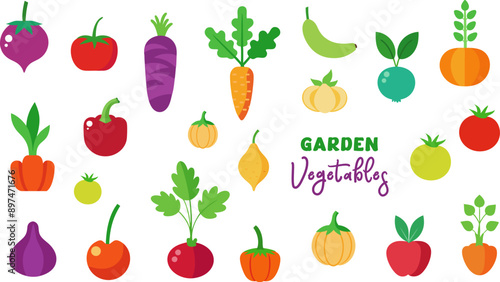 Garden Vegetables illustration collection bundle