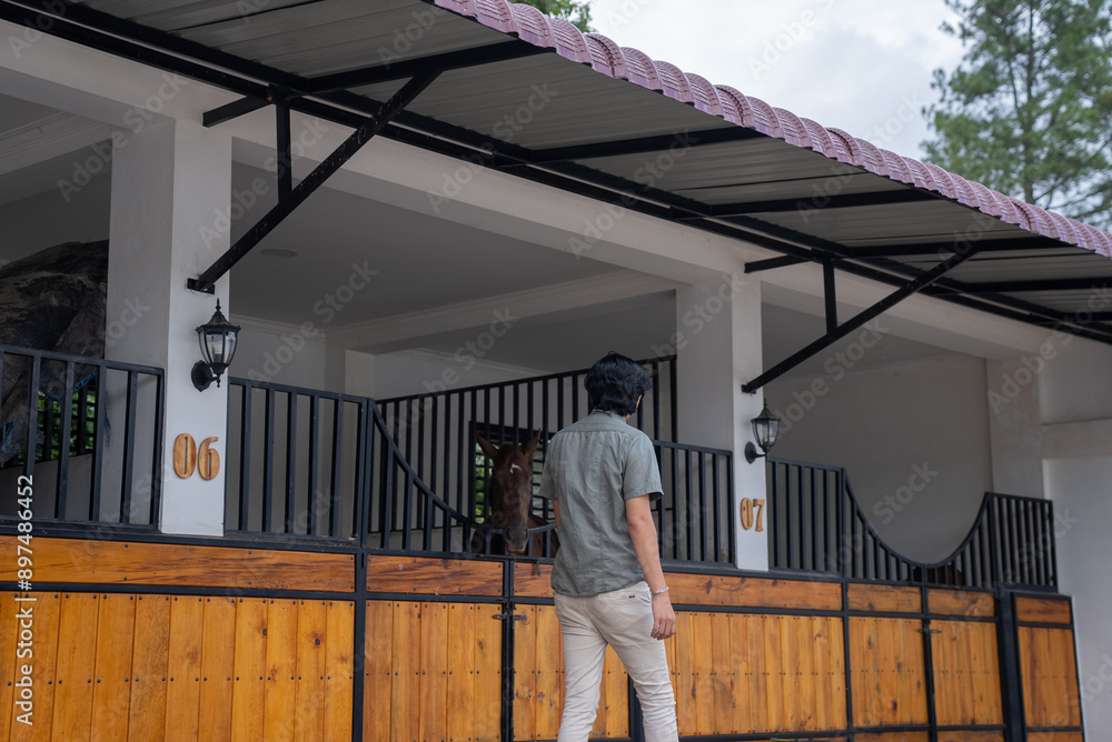 Fototapeta premium A man walks in a horse barn. A man looks at his horse stable