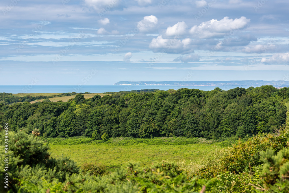 View across to Eastbourne and Beachy Head from Hastings Country Park in East Sussex, England View across to Eastbourne and Beachy Head from Hastings Country Park in East Sussex, England