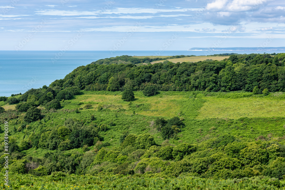 View across to Eastbourne and Beachy Head from Hastings Country Park in East Sussex, England View across to Eastbourne and Beachy Head from Hastings Country Park in East Sussex, England