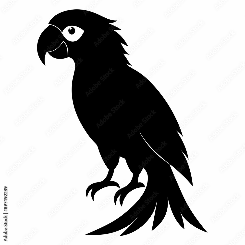 Obraz premium Macaw Black silhouette