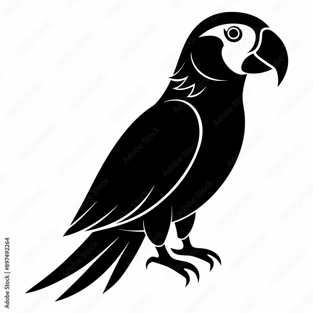 Macaw Black silhouette Macaw Black silhouette