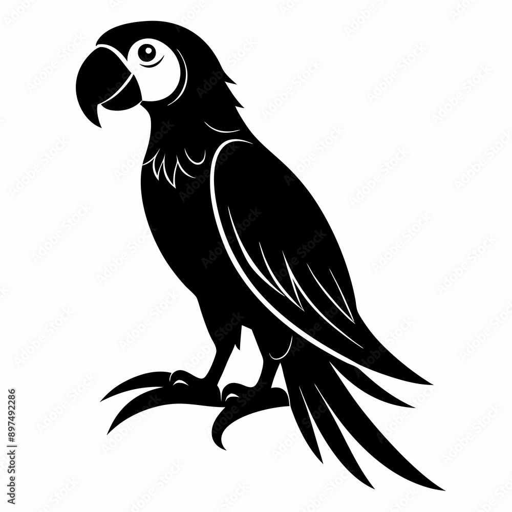 Fototapeta premium Macaw Black silhouette