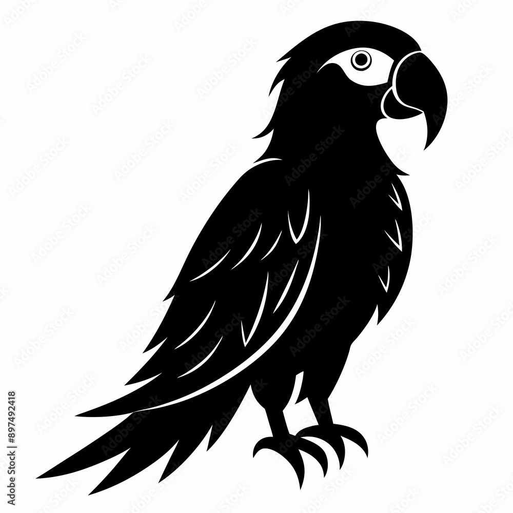 Fototapeta premium Macaw Black silhouette