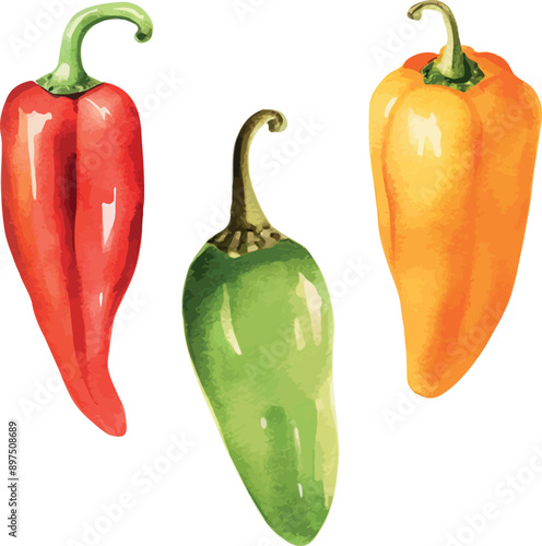 Vector Watercolor vegetables, clipart, 

pepper, red pepper, green pepper, orange pepper. Illustrations for creative cooking, invitation, greeting cards, birthday, event, holiday, menu; cooking class;