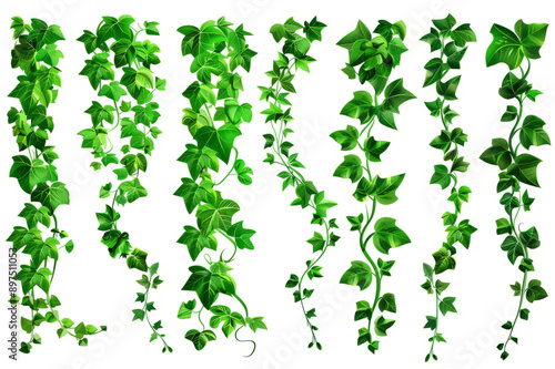 Wallpaper Mural A suspended jungle vine with flowing and twisting elements on a transparent background. Torontodigital.ca