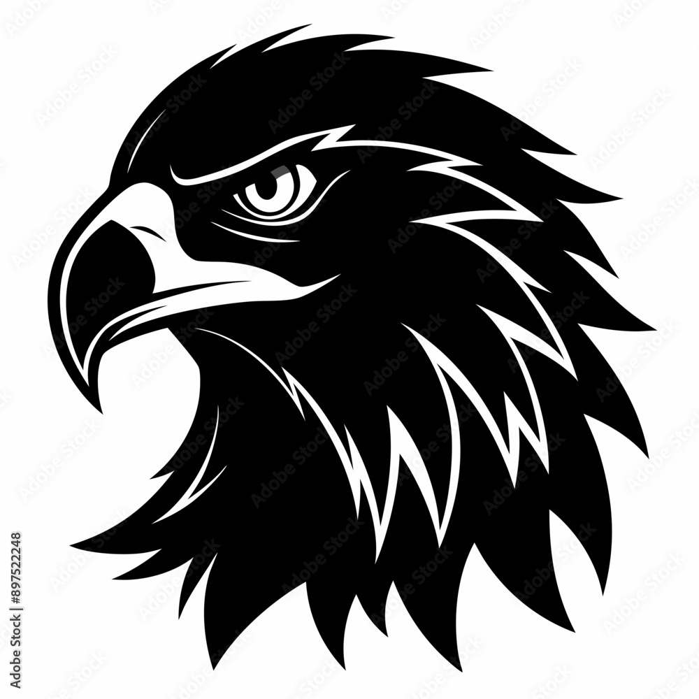 Fototapeta premium head of eagle