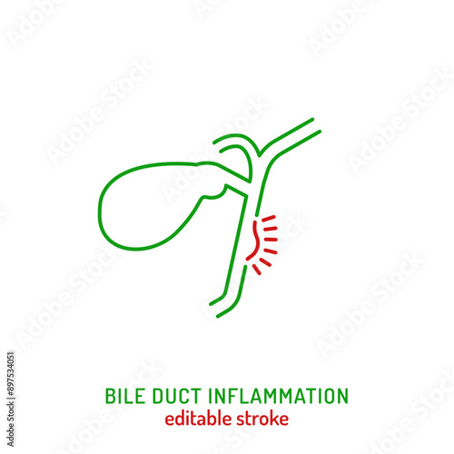 Bile duct inflammation icon in outline style. Cholangitis linear pictogram photo