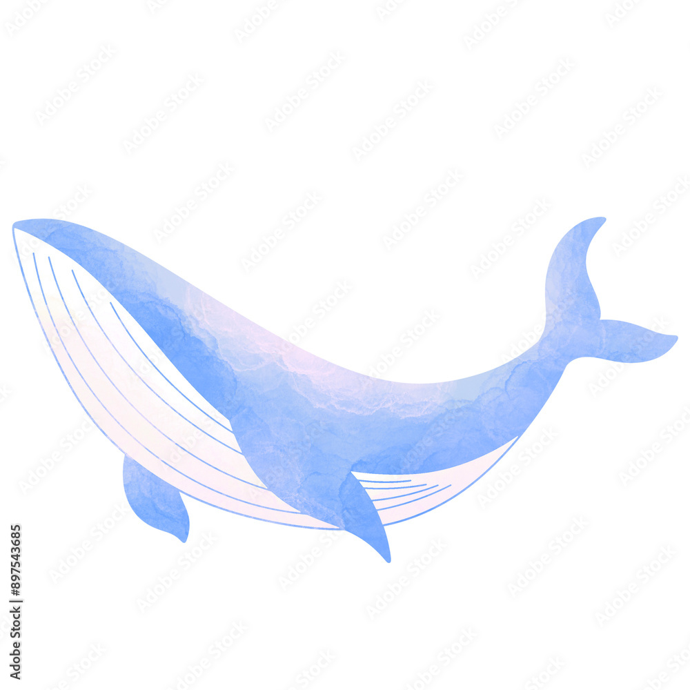 Obraz premium Sea life 