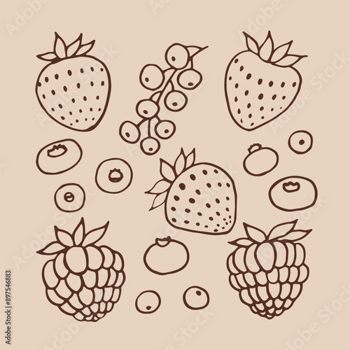 Set of berries. Hand drawn vector illustration in outline style.