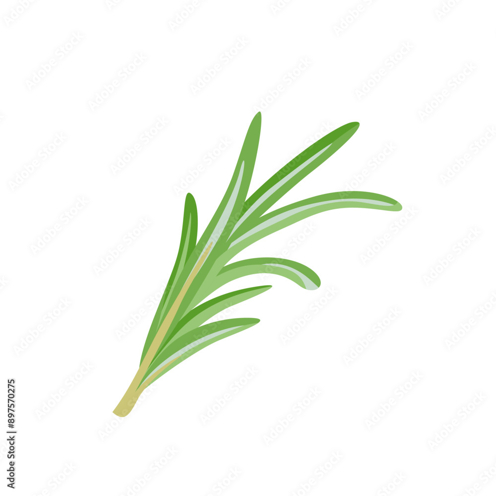 Rosemary icon. Vector illustration of twig of fragrant herb. Rosemary icon. Vector illustration of twig of fragrant herb.