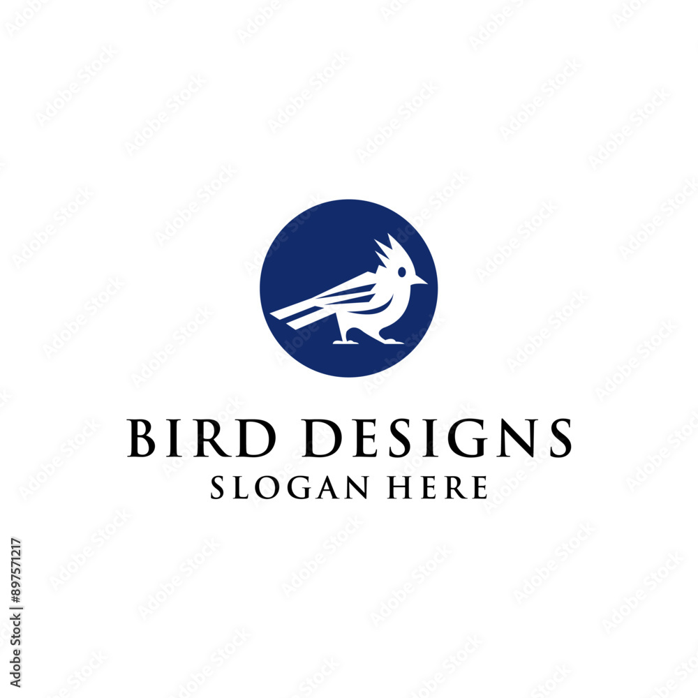 simple concept of ugly bird simple concept of ugly bird