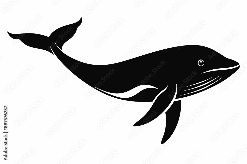 Fototapeta premiumWhale silhouette, whale animal icon. vector illustration