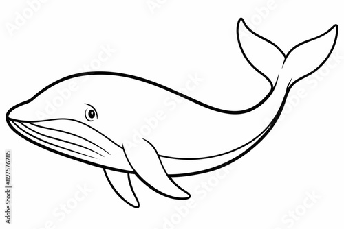 


Whale silhouette, whale animal icon. vector illustration


