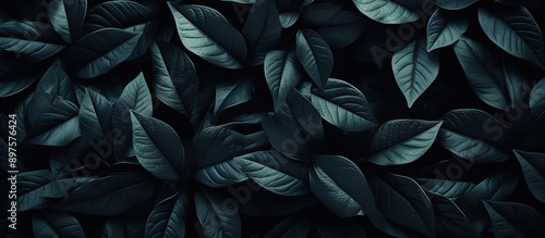 Wallpaper Mural Dark Green Lush Leaf Background Torontodigital.ca