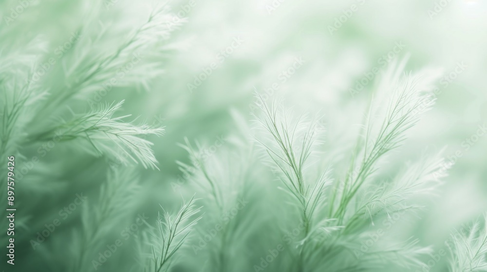 A delicate background with soft green light A delicate background with soft green light