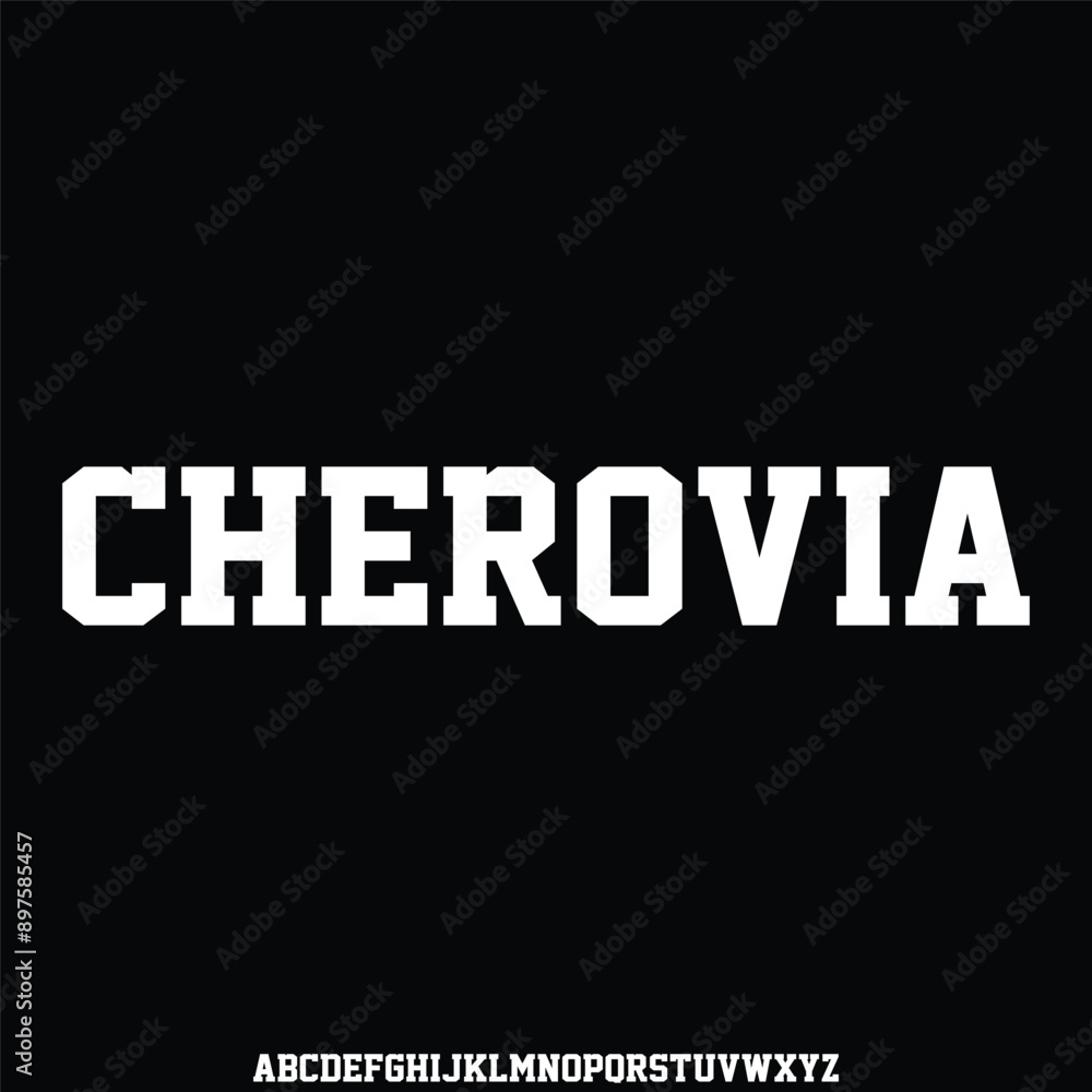 Fototapeta premium modern and elegant alphabet font vector set