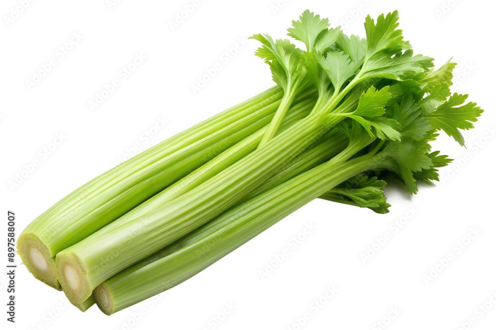 Fototapeta premium Celery green isolated