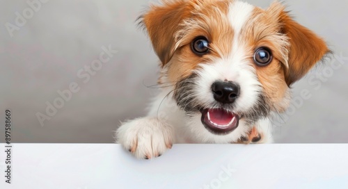 Smiling Dog Peeking Over White Surface