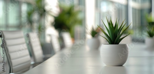 Plants on a White Table in a Modern Office