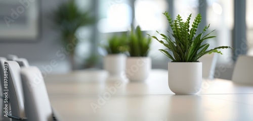 Plants on a White Table in a Modern Office