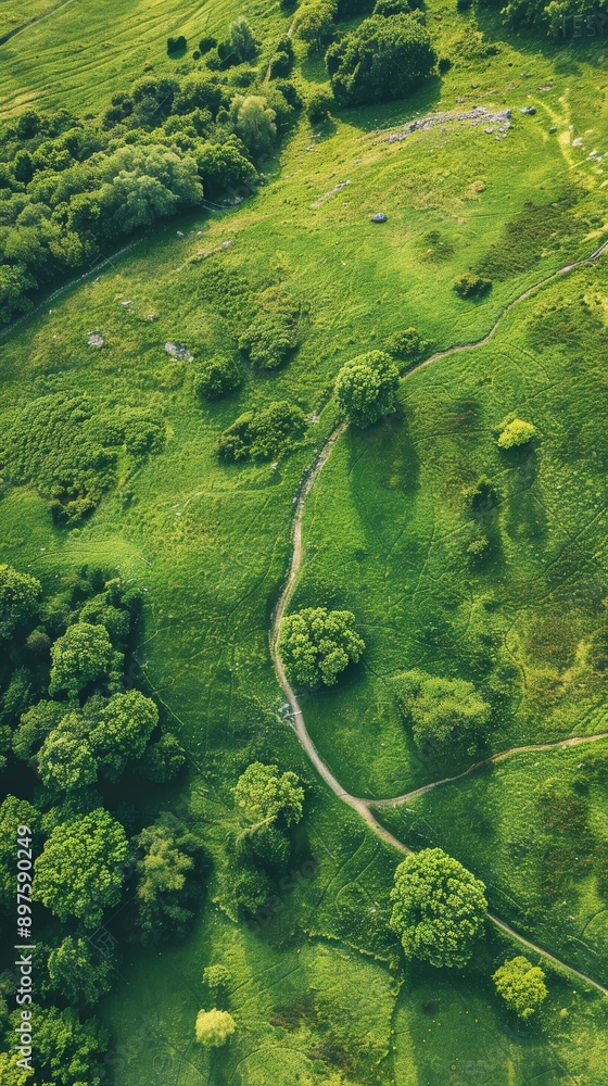 A winding path through a green landscape A winding path through a green landscape