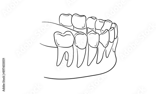 Teeth with roots continuous line art drawing isolated on white background. Dentistry, health, midicine. Vector illustration	