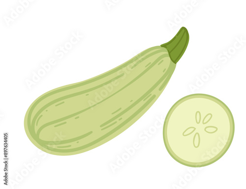 Fresh zucchini, depicted whole and sliced to show its green skin and white flesh. Suitable for garden produce features, healthy recipes, and nutritional content. Vector illustration isolated on white