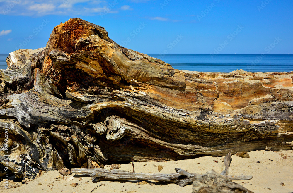 drewno na plaży na tle morza, kawałek drwena na plaży, malowniczy pejzaż nadmorski, log on the sand on the sea shore, beach scene with a large log and sand