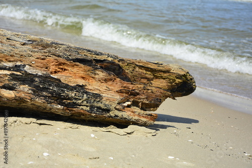 drewno na plaży na tle morza, kawałek drwena na plaży, malowniczy pejzaż nadmorski, log on the sand on the sea shore, beach scene with a large log and sand