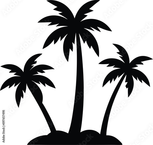 palm or coconut trees vector illustration set on white background