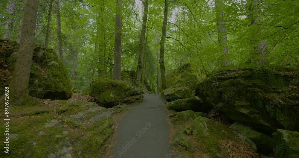 Scenic nature trail with mosscovered rocks in green forest for outdoor recreation and meditation Scenic nature trail with mosscovered rocks in green forest for outdoor recreation and meditation