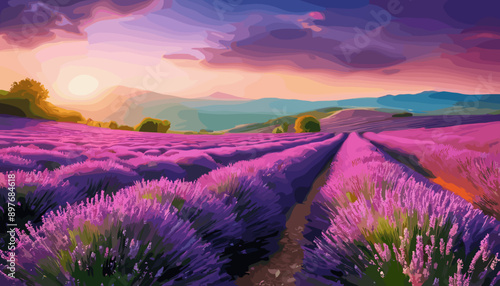 lavender field in region