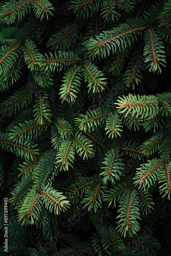 Close-up of green pine needles with red tips, typical of evergreen trees like pines. The image captures the natural texture and colors.