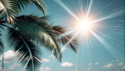 Beautiful summer seasonal background sunlight on palm leaves summer landscape