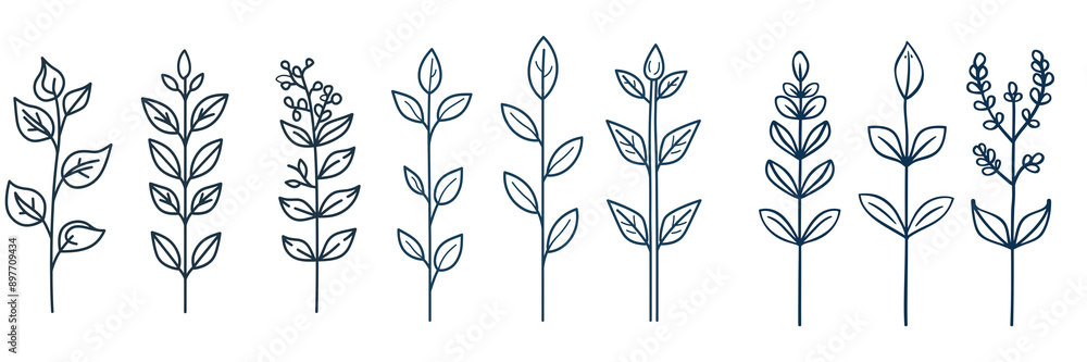 Outline icons of leaves, vector thin line symbols isolated on transparent background Outline icons of leaves, vector thin line symbols isolated on transparent background