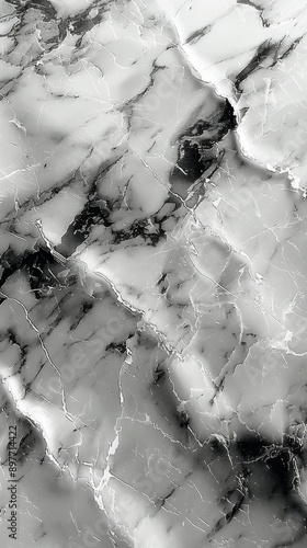 Detailed Close-Up of Black and White Marble Texture