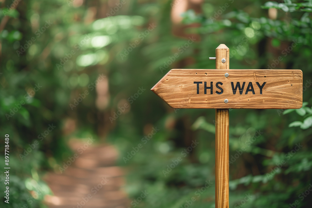 Wooden arrow sign with text 'this way' in forest nature outdoors. Copy space, trail direction guide for travelers, scenic route pathway, outdoor exploration and tourism, forest hik