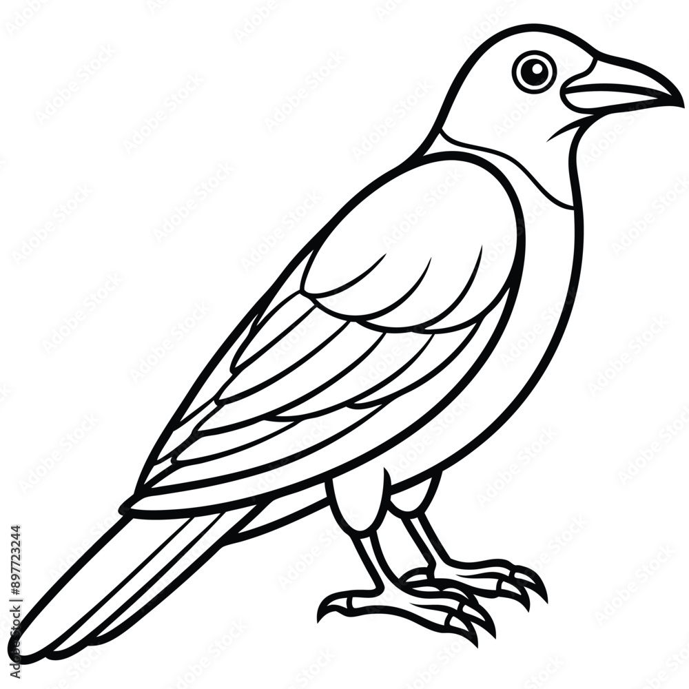 Fototapeta premium Chough bird sitting in vector icon