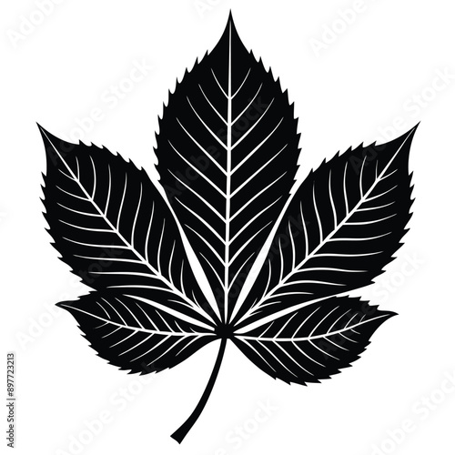 Illustration of a chestnut leaf in vector format