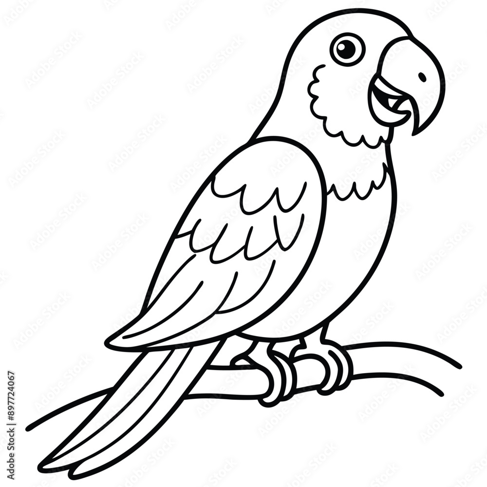 Parrot perched on branch with a smile Parrot perched on branch with a smile