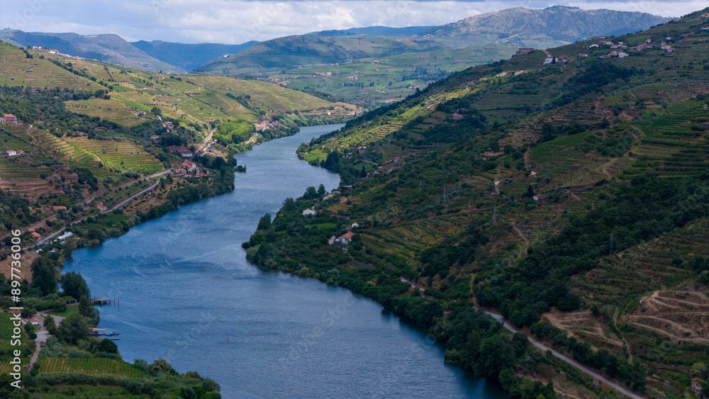 Naklejka premium View of terraced vineyards in the Douro River Valley, Portugal. Portugal travel concept and the most beautiful places in Portugal
