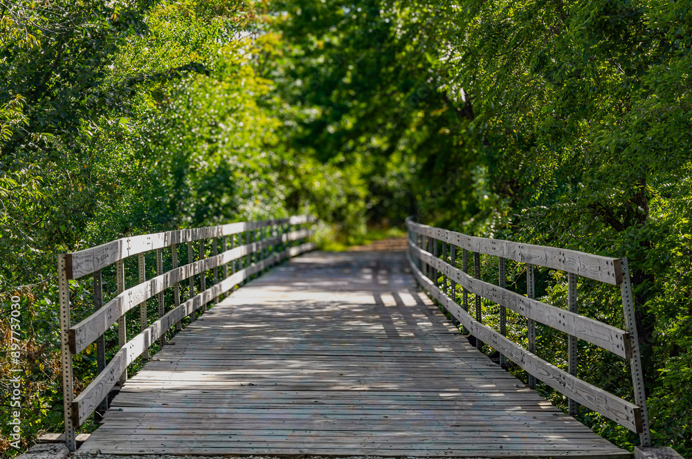 Wooden Bridge Pathway Through Lush Green Forest Wooden Bridge Pathway Through Lush Green Forest