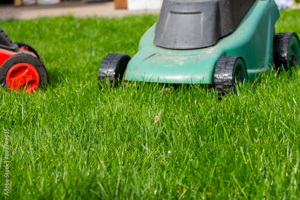 Seasonal maintenance works in garden, lawn movers in action, green grass cutting, lawn care, English lawn Seasonal maintenance works in garden, lawn movers in action, green grass cutting, lawn care, English lawn