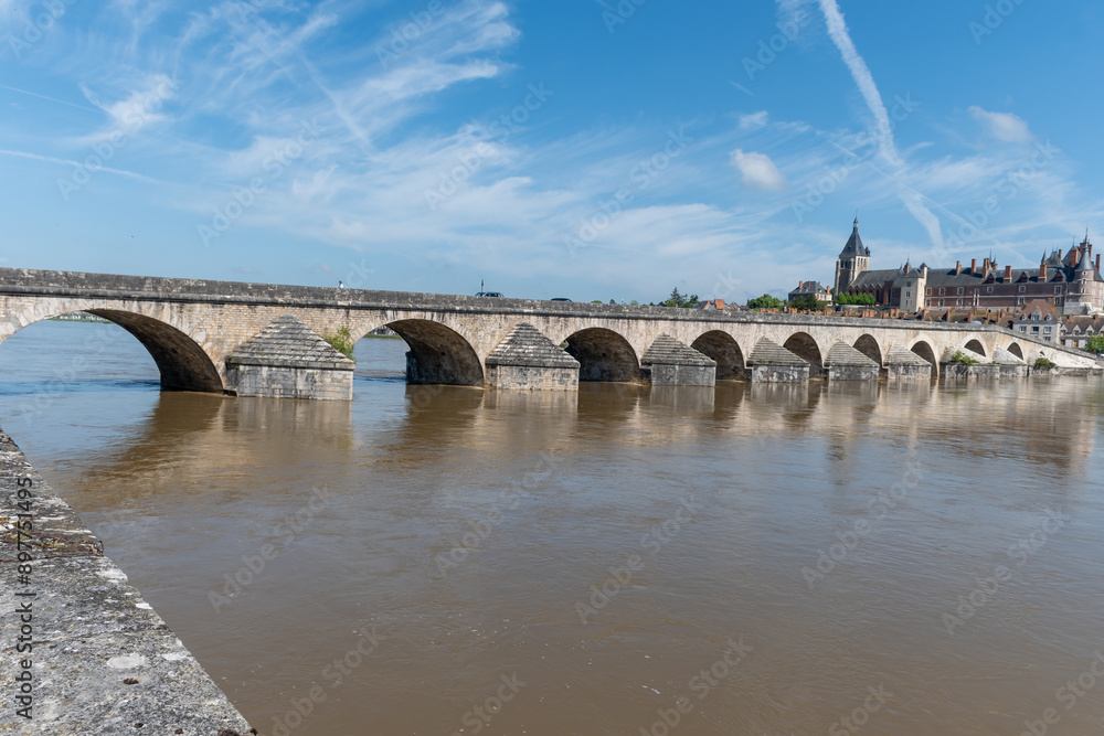 Fototapeta premium Views of old part of town of Gien is on the Loire river, in Loiret department, France, bridge and castle