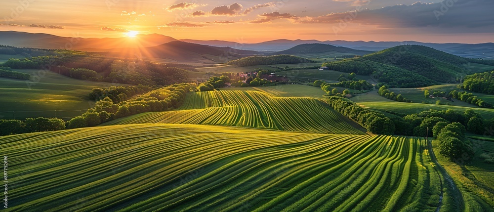 Fototapeta premium Tractor in a green field during sunset.