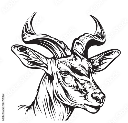 Hand drawn sketch style lesser kudu antelope isolated on white background. Vector illustration.