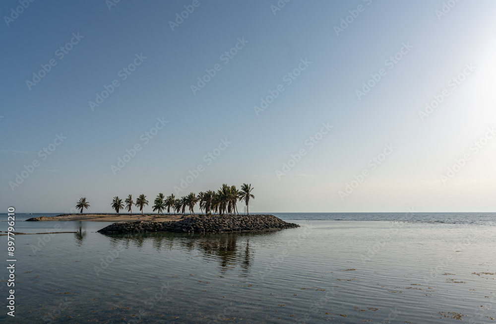 Sunset Bliss: Palm Trees Embrace the Evening Glow...
